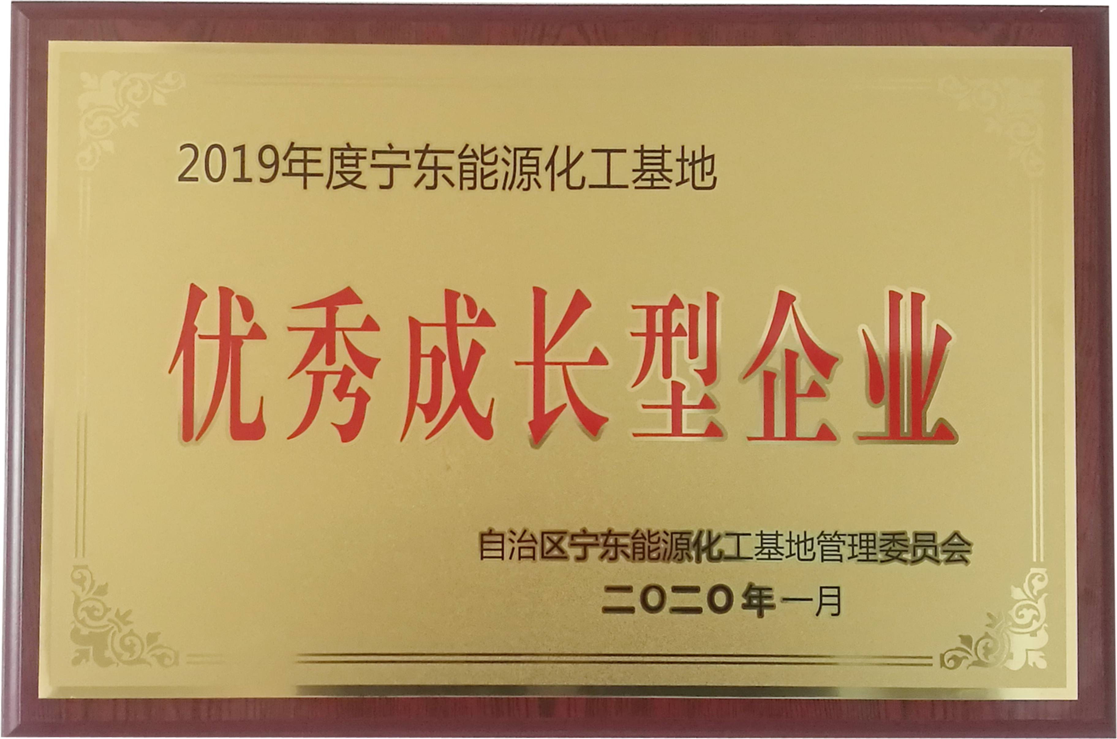 優(yōu)秀成長型企業(yè)